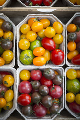 closeup of different multicolored varieties of tomatoes