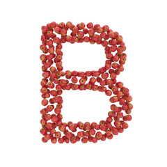 illustration of letters from apples