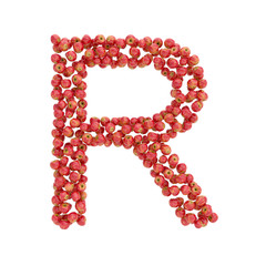 illustration of letters from apples