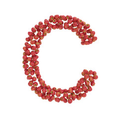 illustration of letters from apples