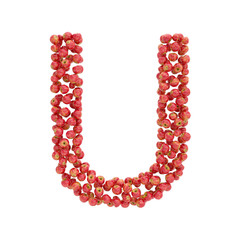 illustration of letters from apples