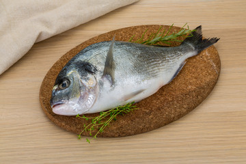 Raw dorado