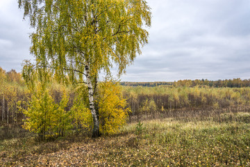 Осенний пейзаж.