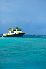 Obraz premium Rest in Paradise - Malediven - Fischerboot im Meer
