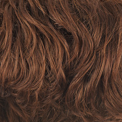 Naklejka premium Hair fragment as a background composition