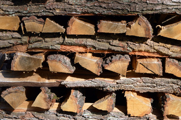 Brennholz