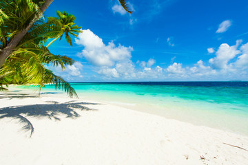 Rest in Paradise - Malediven - Postkartenmotiv mit schräger Pal