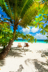 Rest in Paradise - Malediven - Postkartenmotiv mit zwei Sonnenli