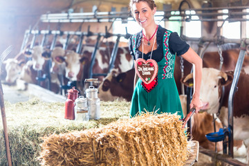 Bayern Frau fährt Schubkarre im Kuhstall 