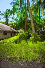 Fototapeta na wymiar Rest in Paradise - Malediven - Hütte und Palmen auf der Insel