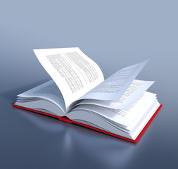 Obraz premium open book