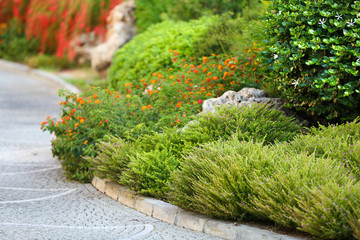 Beautiful landscaping at park