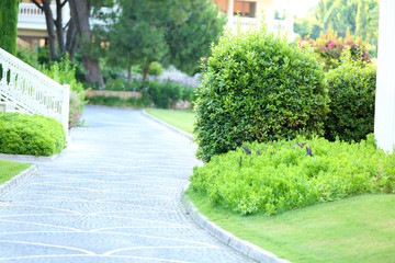 Beautiful landscaping at park