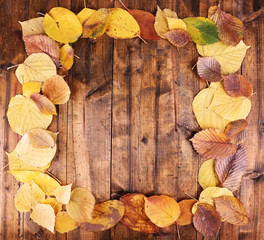 Fototapeta na wymiar Leaves arranged as frame on brown wooden background