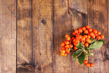 Ashberry on brown wooden background