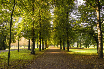 Naklejka premium Herbst 08324