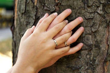 Two hands with wedding rings hugging trunk large tree, close-up