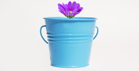 small bucket with a flower inside