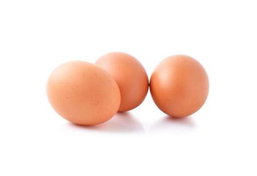 Egg  on white background