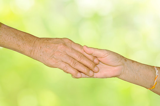 Happy Senior Adult Couple Holding Hands together on green nature