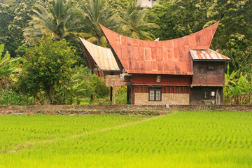 Fototapeta na wymiar Traditional Batak house on Samosir island, Sumatra, Indonesia