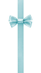 vertical border with light blue color ribbon bow