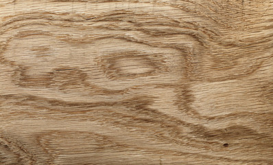 natural oak high detailed texture