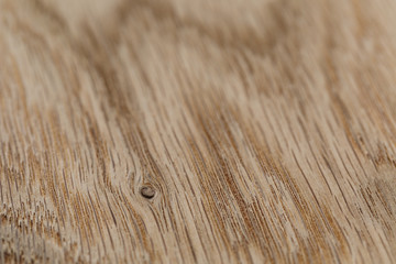 macro photo of structure of oak wood