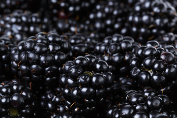 ripe organic blackberries close up