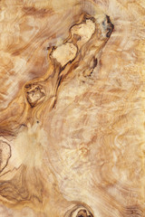 high detailed texture of olive wood board