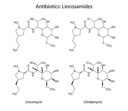 Lincosamides - structures of lincomycin & clindamycin antibiotic
