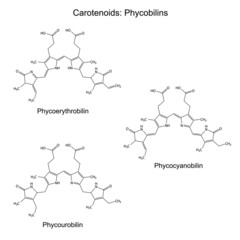Structural chemical formulas of plant pigments - carotenoids phy