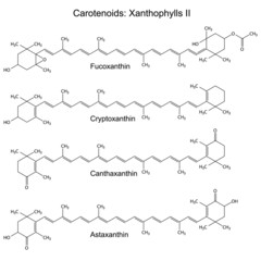 Structural chemical formulas of plant pigments - carotenoids xan