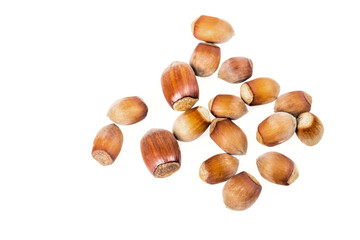 Hazelnuts on a white background