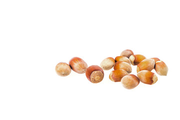 haselnuts isolated on white background