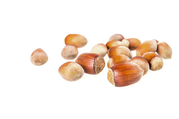 haselnuts isolated on white background