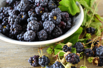 forest fresh blackberries in a bowl