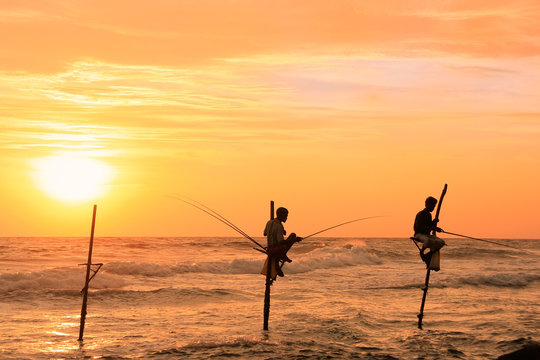 Silhouette of a stick fishermen at sunset, Unawatuna, Sri Lanka