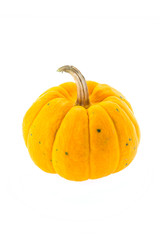 Pumpkin isolated on white