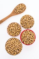 Soybean isolated on white background