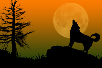 Wolf Howling at the Moon