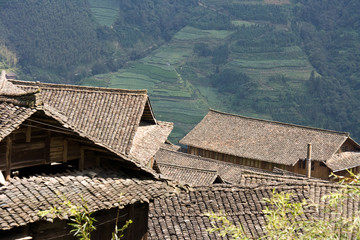 tiled roofs.