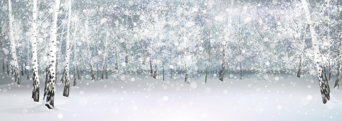 Vector winter snowy landscape, birch forest.