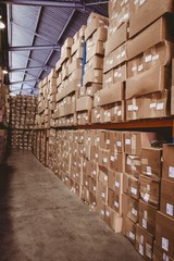 Shelves with boxes in warehouse