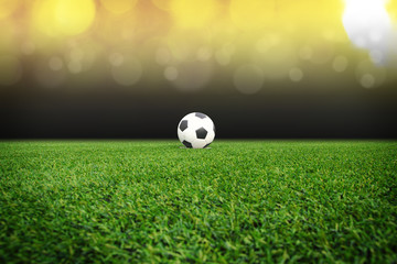 Fototapeta premium soccer field