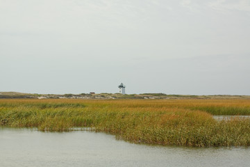 Cape Cod