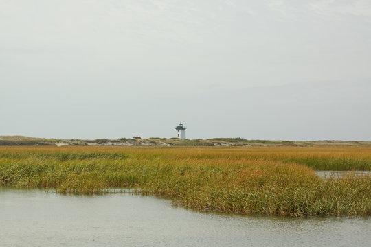 Cape Cod