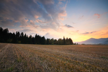 Fototapeta na wymiar Field after harvest in Slovak countryside, Europe.