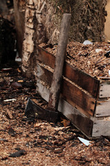 Fototapeta premium Farmland