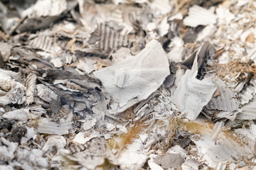 Burnt paper